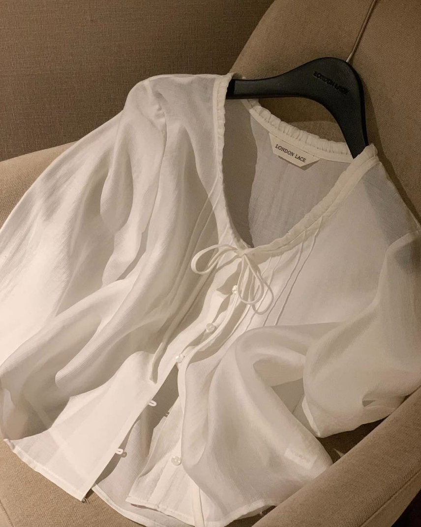 Lace neckline pintuck blouse