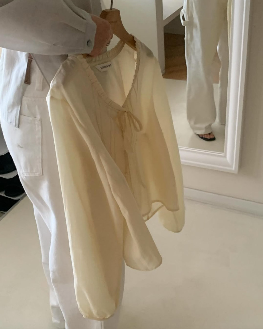 Lace neckline pintuck blouse