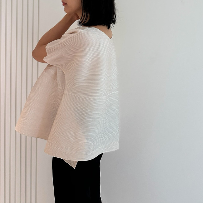 Pleats blouse