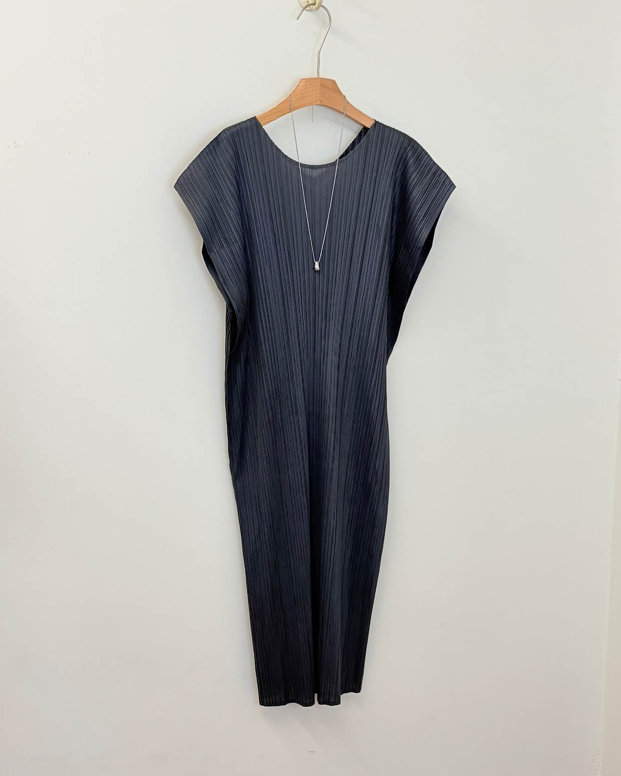 Pleats wing sleeves dress