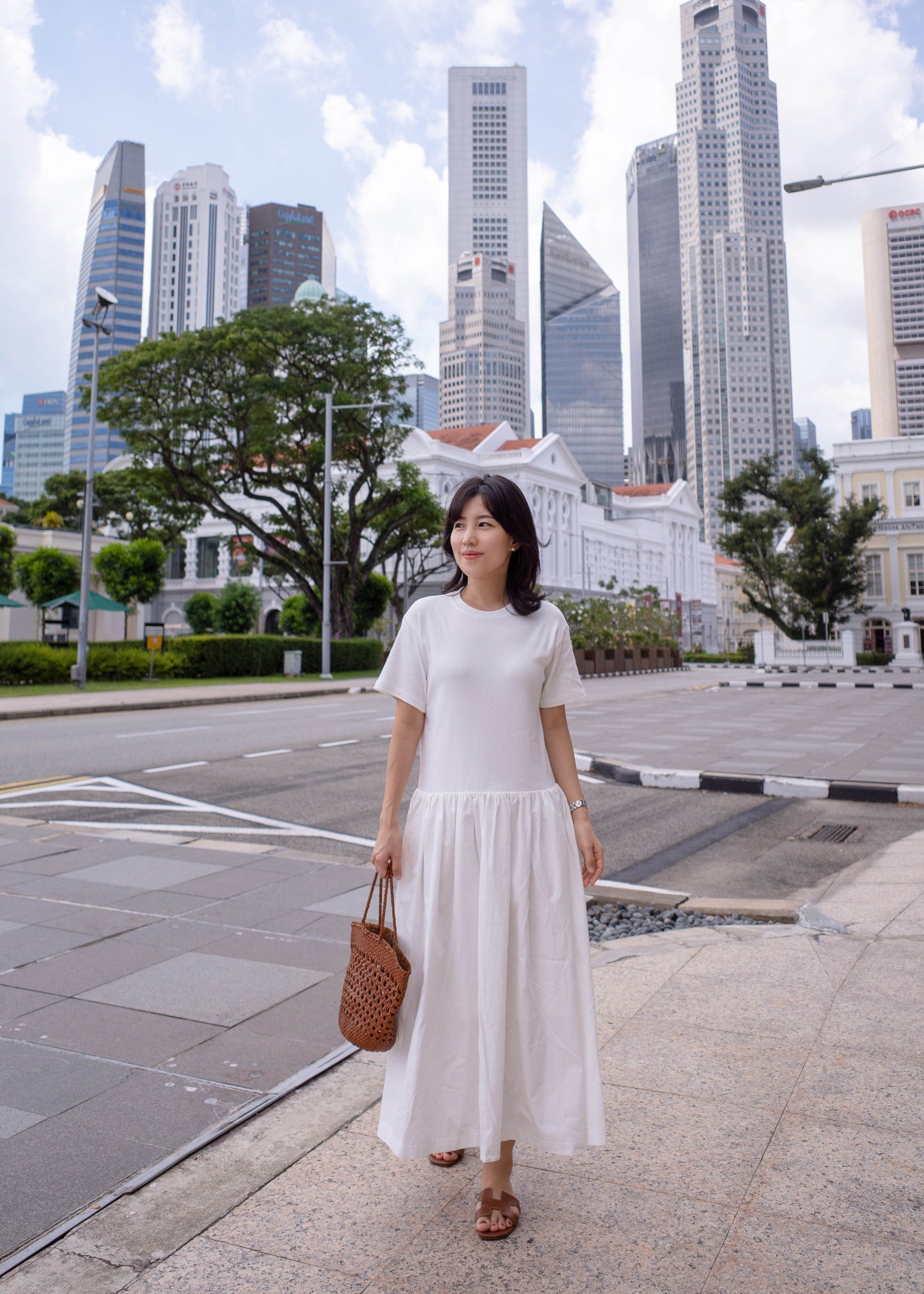 Muse cotton dress